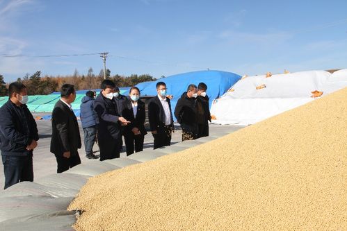 由“种得好”到“卖得好” 长水河农场的粮食收购样本观察