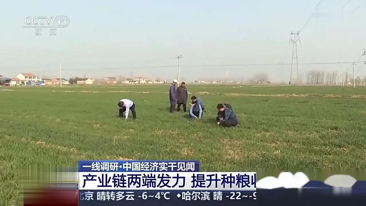 从黑龙江富锦到江苏涟水 跨越三千里的粮食收购交响曲